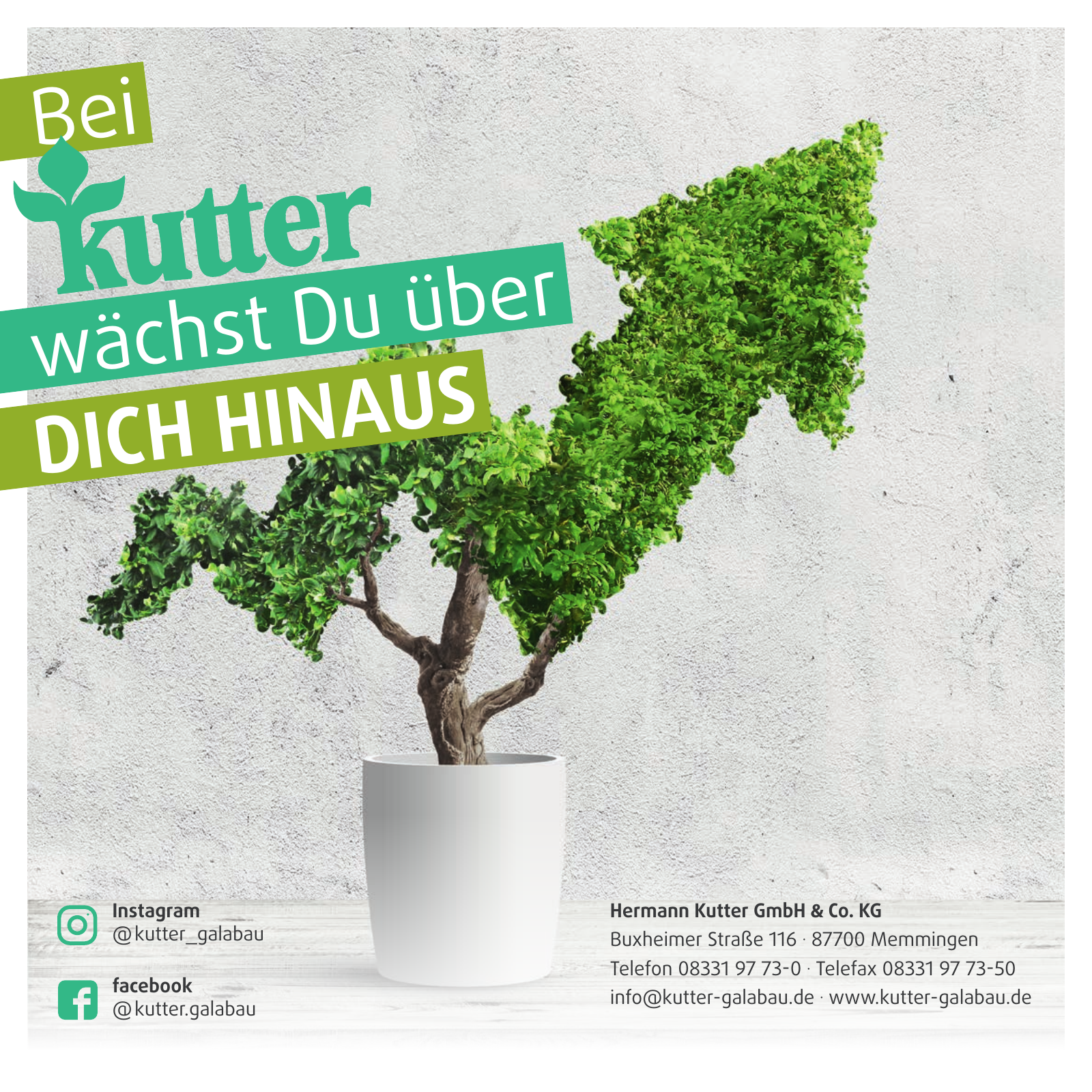 Vorschau Kutter GaLaBau - Azubi Broschüre Seite 16