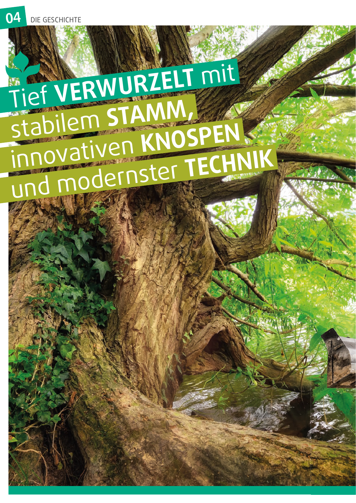 Vorschau Kutter GaLaBau - Unternehmensbroschuere Seite 4